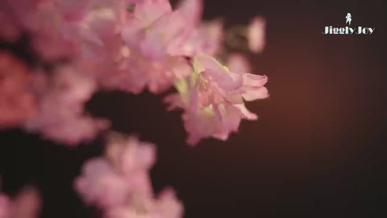 Load video: 